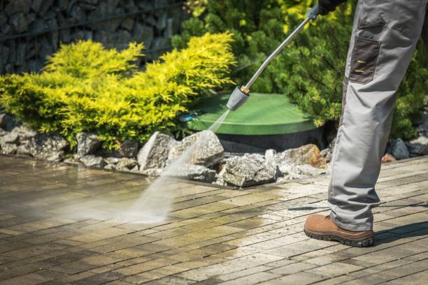 Best Gutter Cleaning  in Harrogate, TN